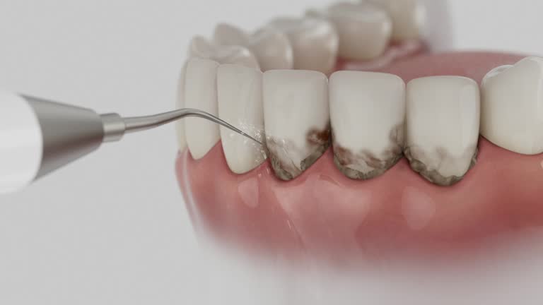 Reliable Dental contractor in Lake of the Woods, VA by Dentist Open Now